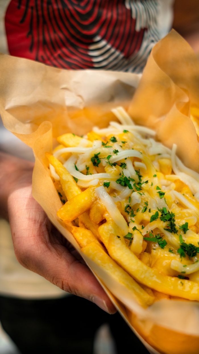 services-01 Delicious close-up of cheesy loaded french fries garnished with herbs, perfect for fast food enthusiasts.
